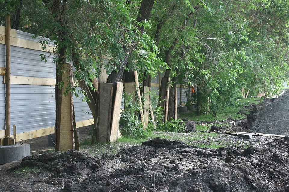 В местах реконструкции дрог и дворов в Тюмени стали огораживать деревья. Фото администрации Тюмени