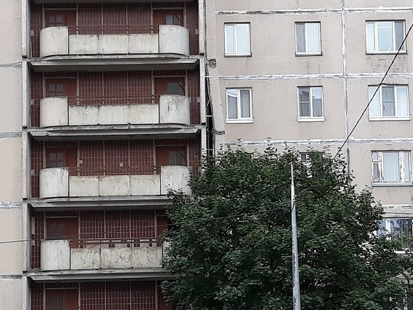Фото: ДТП и ЧП Петербург