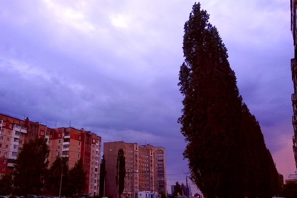 Днем в Липецке не больше +25