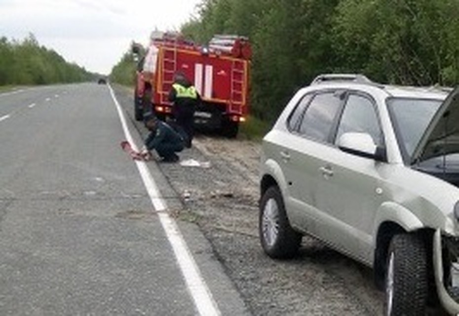 Ямальские спасатели подняли две иномарки, угодившие в кюветы 89.mchs.gov.ru