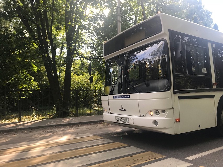 Жуткое ДТП под Воронежем: автобус проехал по голове мотоциклиста