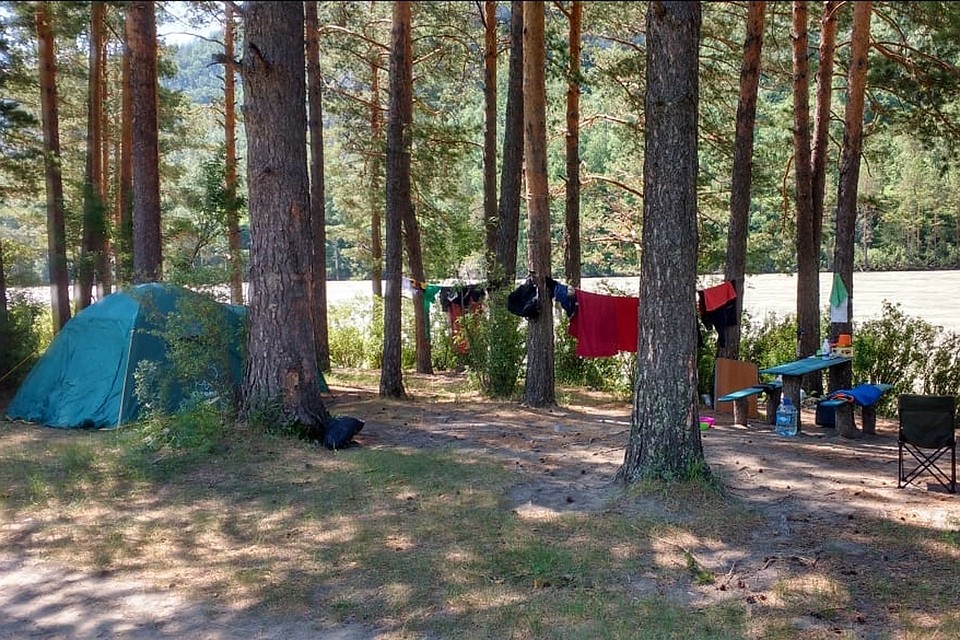 Фото предоставлено компанией "Сосновый берег"