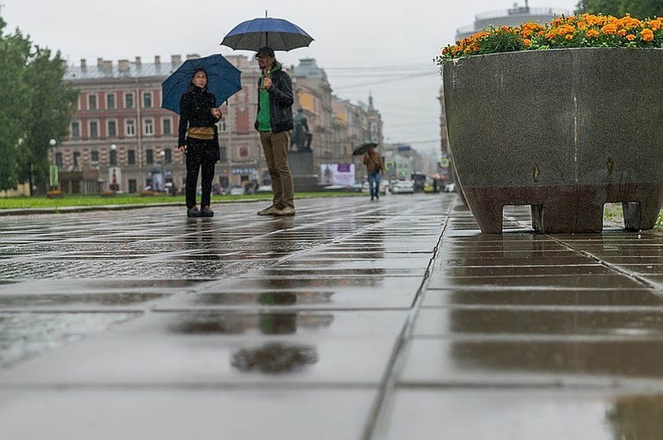 В Петербурге пройдут летние дожди.