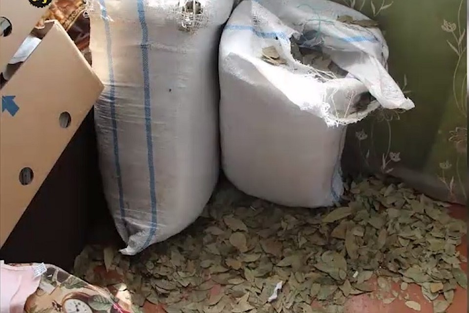 Фото: скриншот из видео publika.md