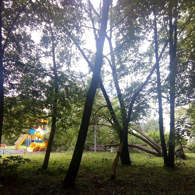 Фото из группы в социальной сети "ВКонтакте"