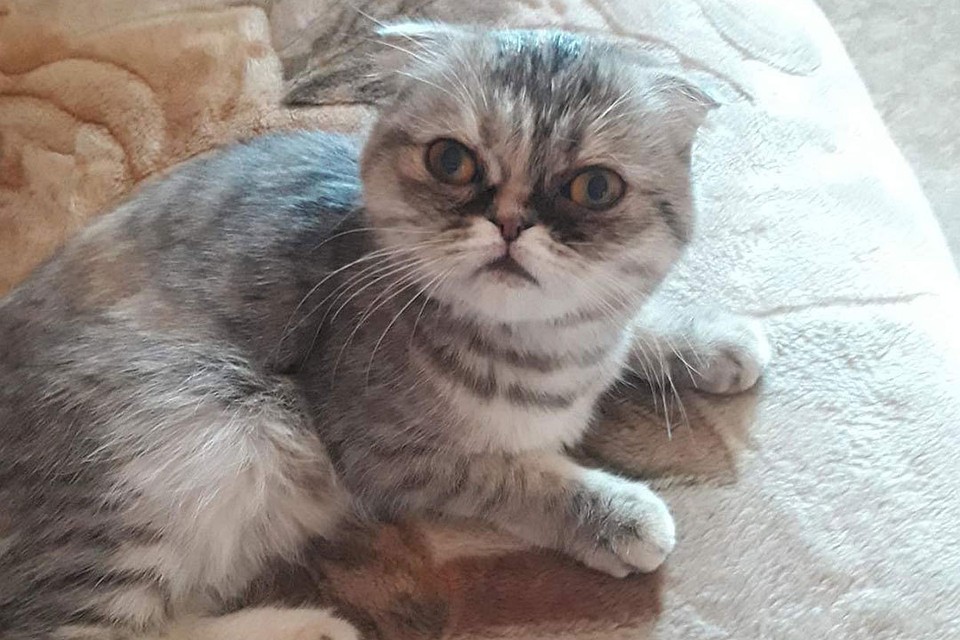 Фото: Лариса Ивойлова.