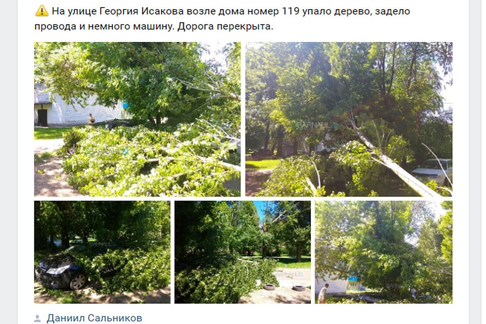 Фото: Даниил Сальников.
