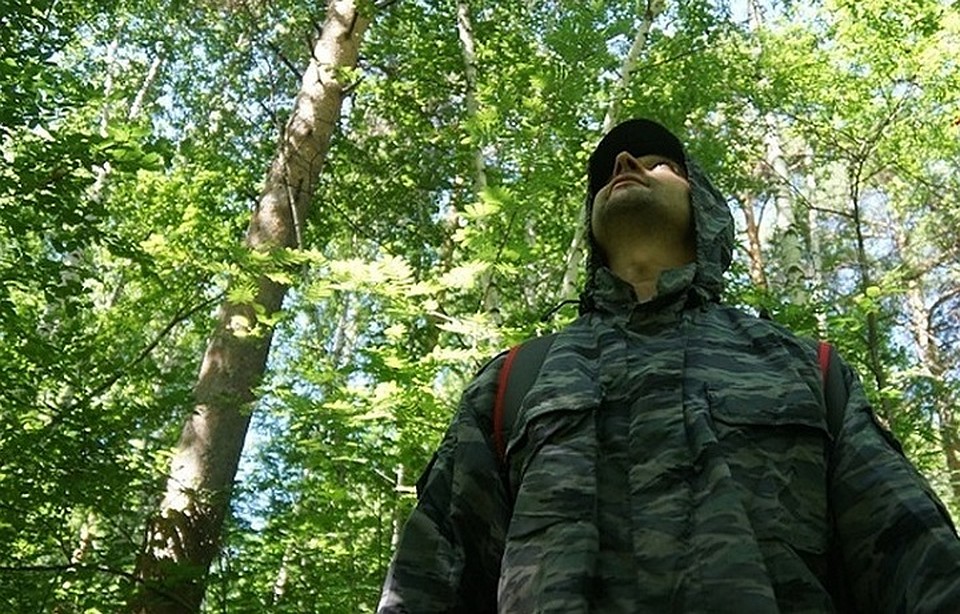 Мужчины пропадают в томских лесах регулярно этим летом