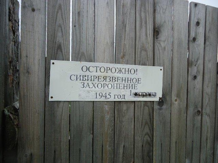 Фото: 18.rospotrebnadzor.ru