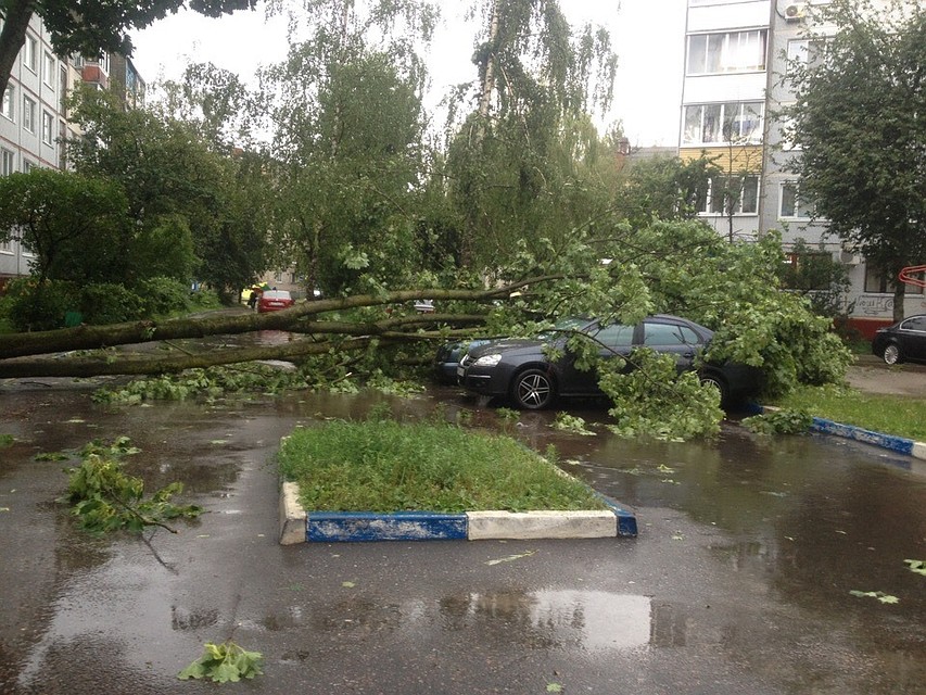 Фото: vk.com, "Типичный Брянск"