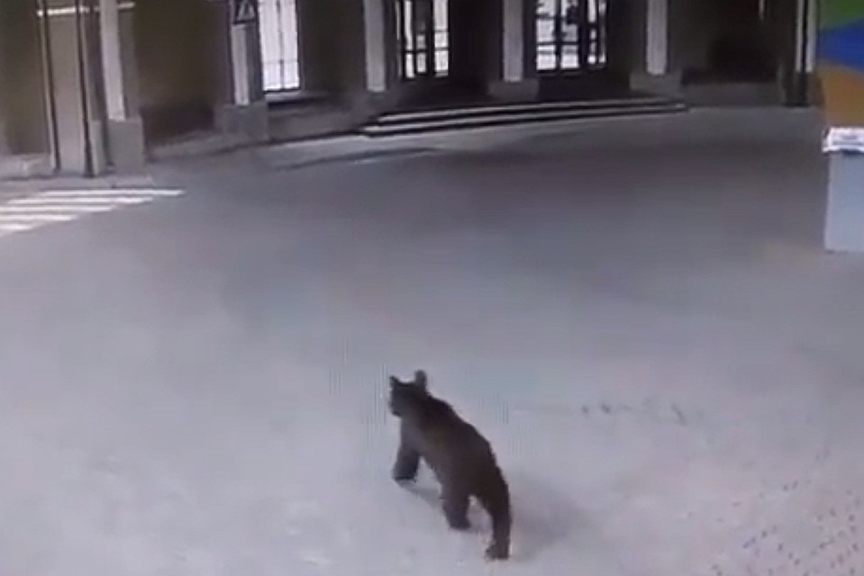 Скриншот видео
