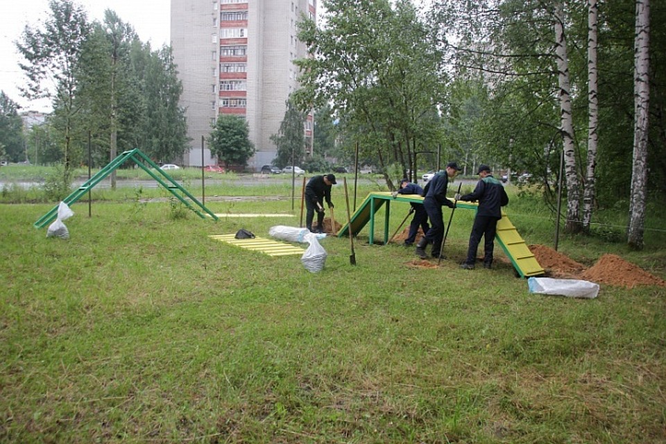 В Ярославле появится новая площадка для выгула собак