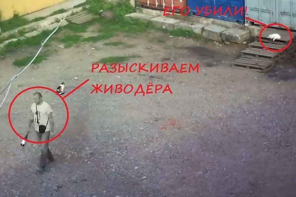 У мужчины есть особая примета: татуировки на руках. Фото: vk.com/sledzhizni