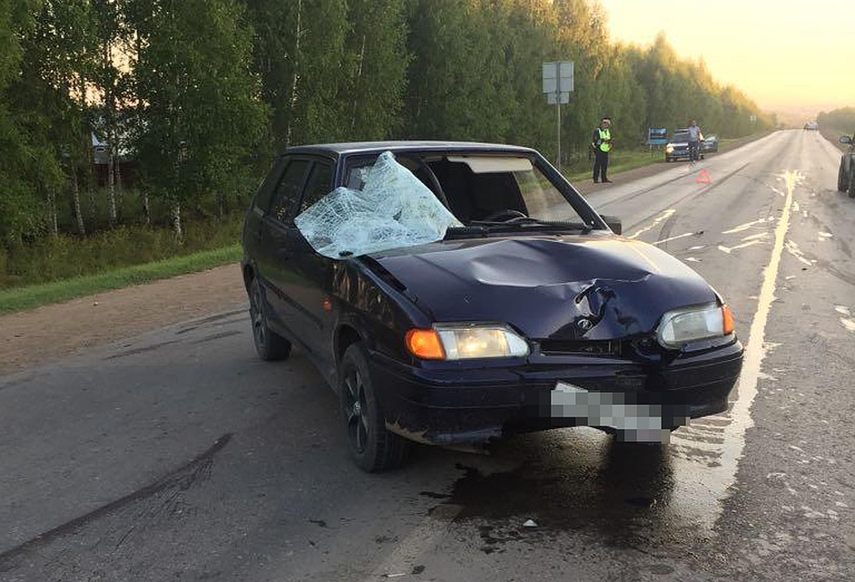 Фото: блог Динара Гильмутдинова