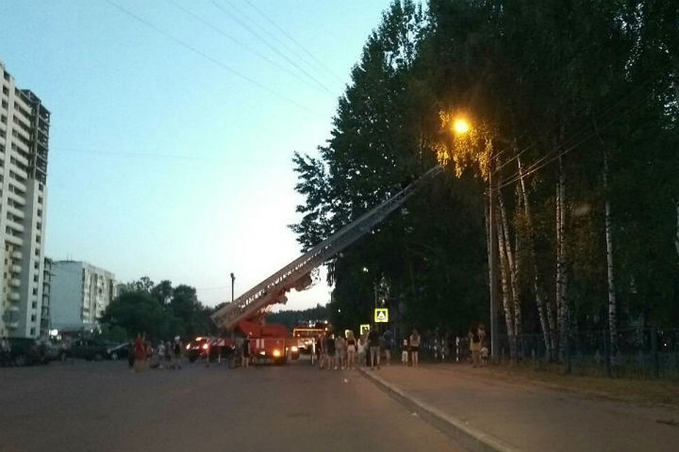Чтобы снять парня с дерева, вызвали пожарных. Фото: Константин Мальцев.