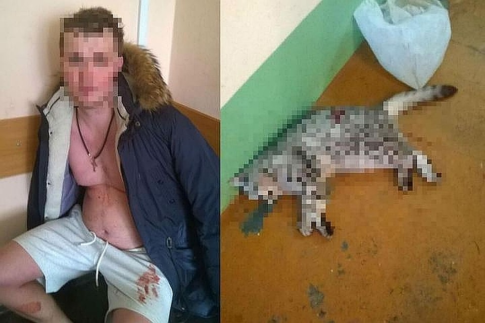 Фото: СУ СК России по Омской области