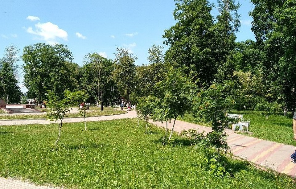 Было собрано 316 кубометров бытового мусора