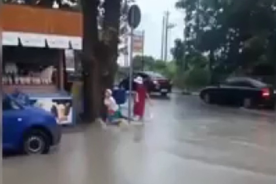 Фото: скриншот