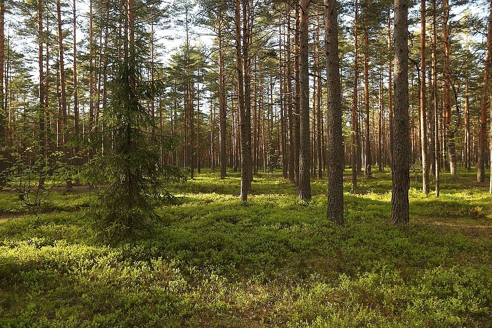 Фото: Александр ГЛУЗ.