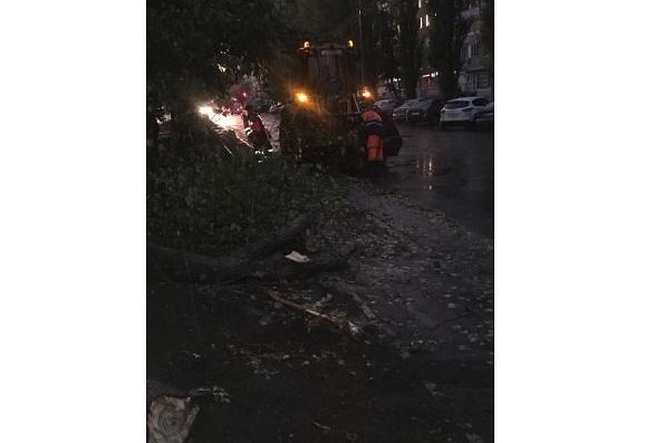 Фото: администрация Уфы
