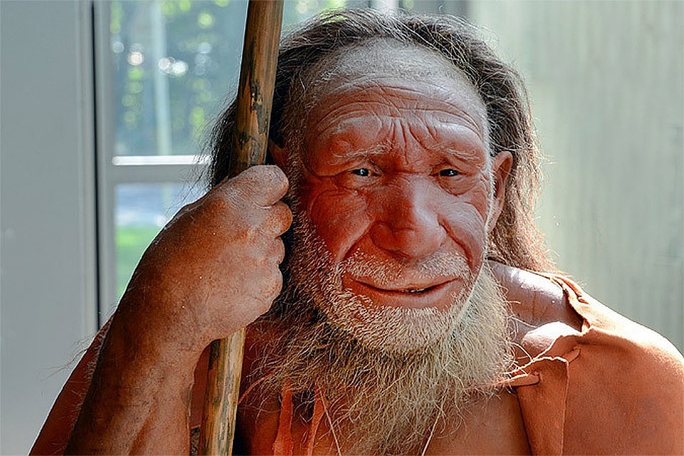 Раскопки доказали, что Homo Erectus вымер из-за нежелания совершенствовать орудия труда.