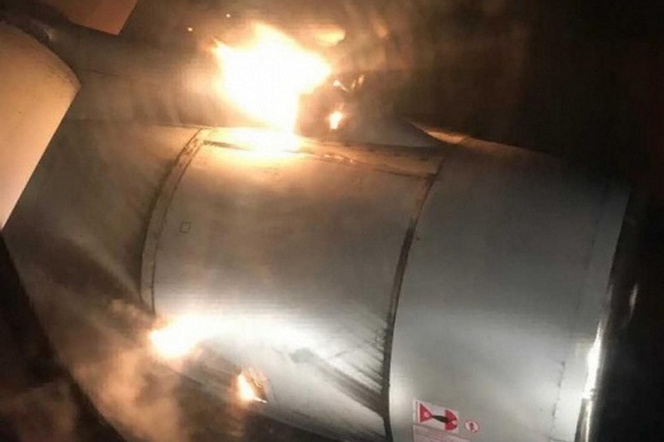 Фото: скриншот видео
