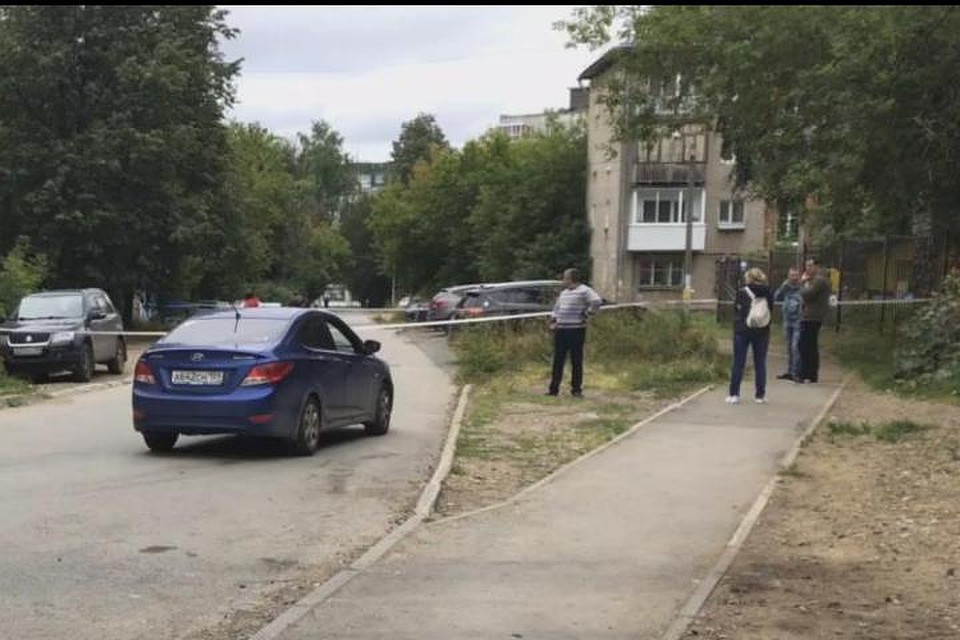 Найденные градусники, к счастью, не были разбиты. Фото: группа ВК "Подслушано Гайва".