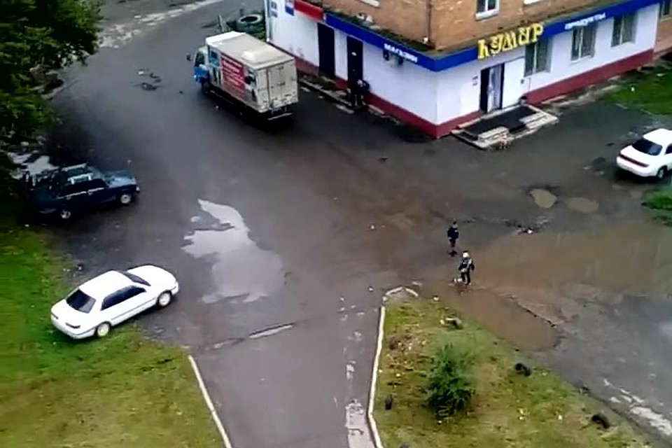 В Назарово двое детей утопили в луже раненого голубя. Стоп-кадр видео Маргариты Ларионовой