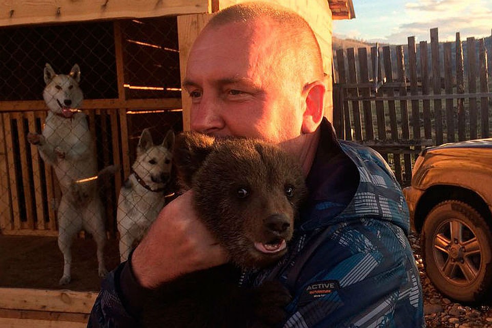 Юную медведицу Машку, которую спасали на Алтае всем миром.