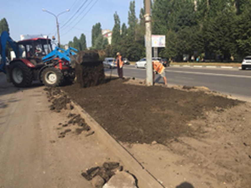 фото с сайта мэрии Воронежа