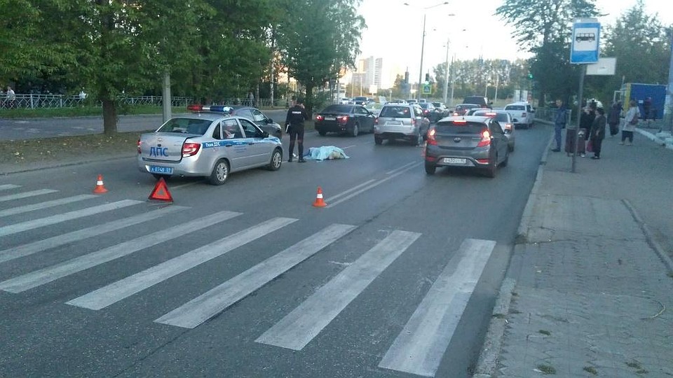 "Зебру" в этом месте не заметить было невозможно. Фото: ГУ МВД по Пермскому краю.