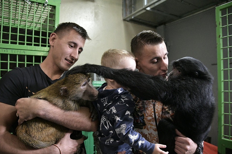 Фото: Алексей ФОКИН