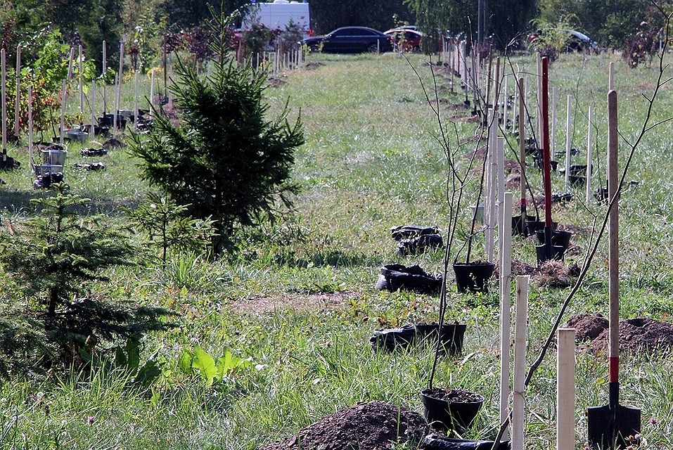 Фото: пресс-служба Брянского городского Совета народных депутатов