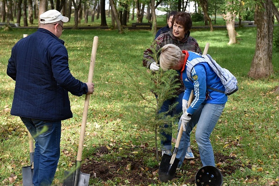 Участники субботника высадили ели, лиственницы и другие деревья. Фото: duma.mo-kirov.ru