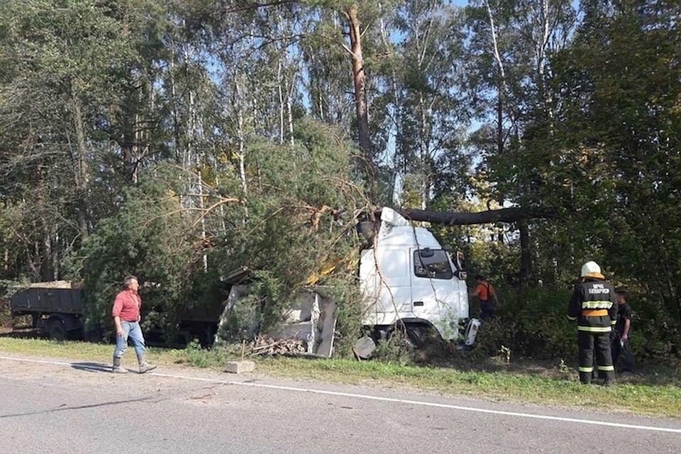 В Дятловском районе автопоезд врезался в сосну. Фото с сайта ГАИ УВД Гродненского облисполкома