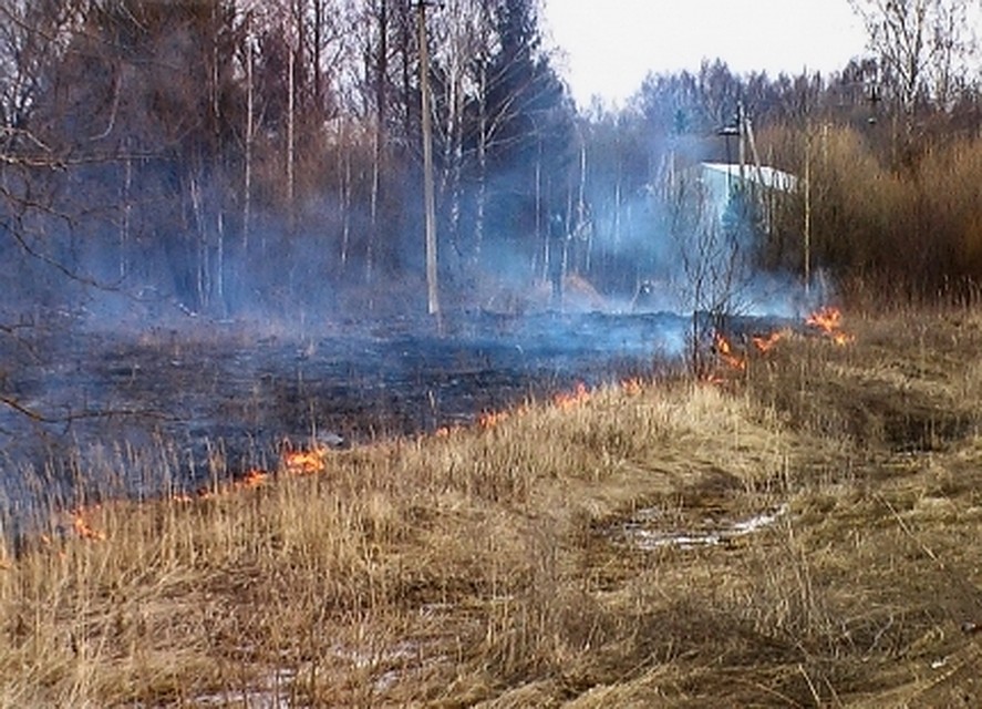 ФОТО: ГУ МЧС по Смоленской области