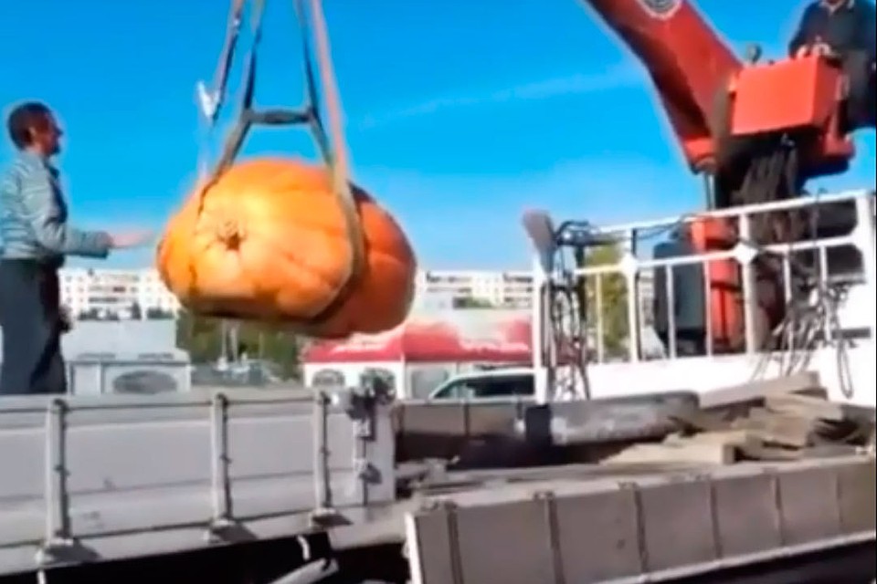 Фото: скриншот видео