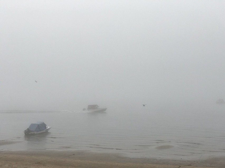 На Волге как будто молоко разлили поверх воды. Фото из группы Речфлот-63
