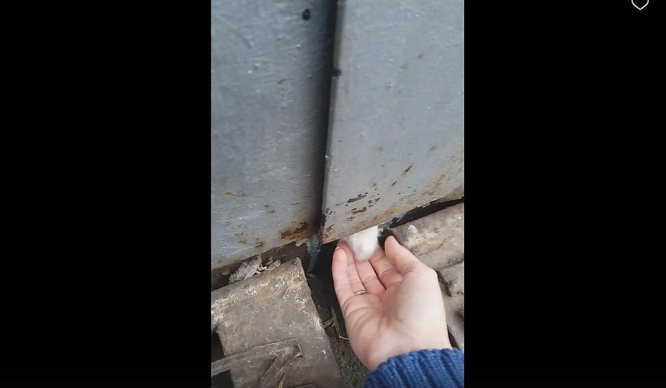 Скриншот с видео