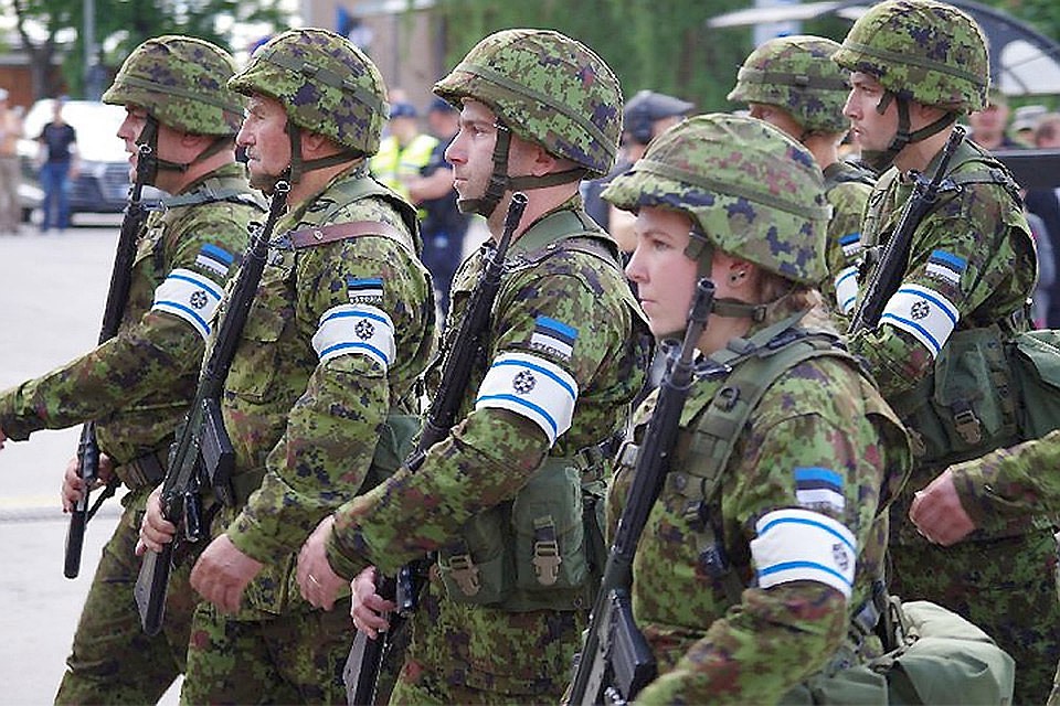 Власти Эстонии одобряют рекордные расходы на оборону в 2019 году. Фото: с сайта lounaeestlane.ee