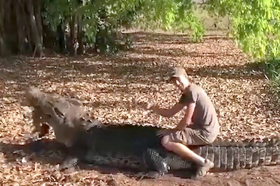 Датчанин сел на крокодила ради эффектного кадра. Фото: Instagram