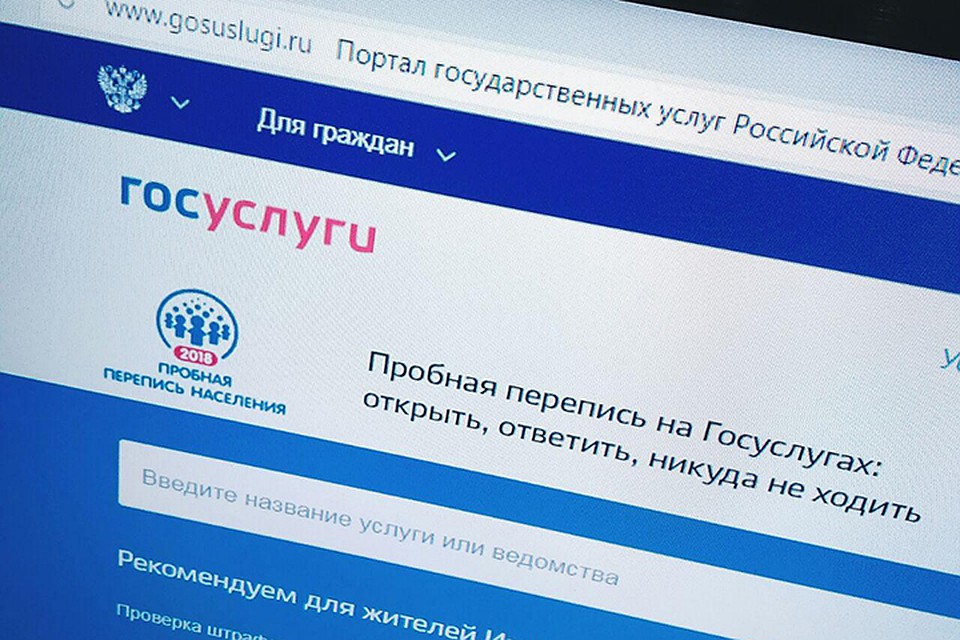 Респондентам предстоит самостоятельно заполнить переписные листы в интернете на Едином портале госуслуг
