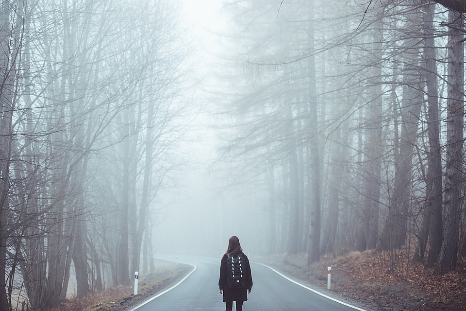 Фото: pixabay.com