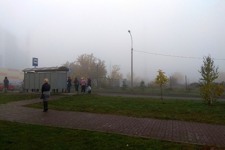 Кемеровчанам в четверг следует, выходя из дома, прихватить с собой зонты