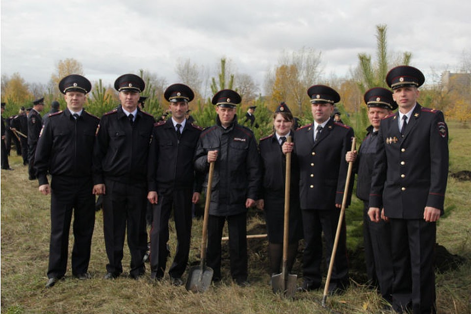 К 100-летию уголовного розыска: полицейские Красноярска высадили 100 деревьев. Фото: пресс-служба краевого главка.