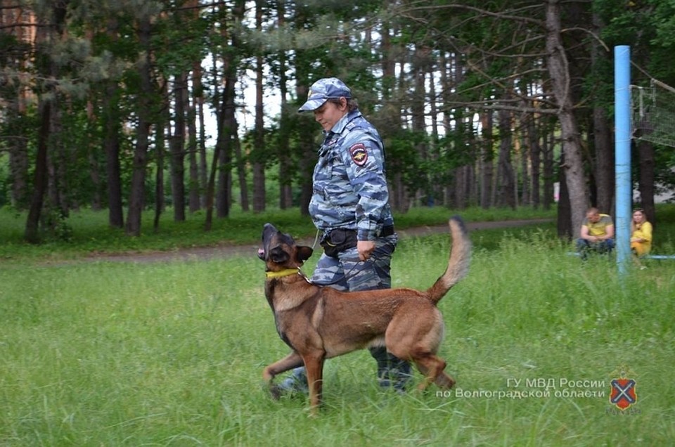 Женщину искали шесть поисковых групп