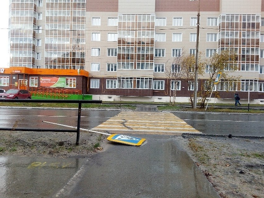Фото из группы "Злой и добрый надымчанин" в соцсети ВКонтакте