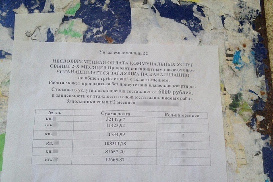 Фото: Павел Крайнов