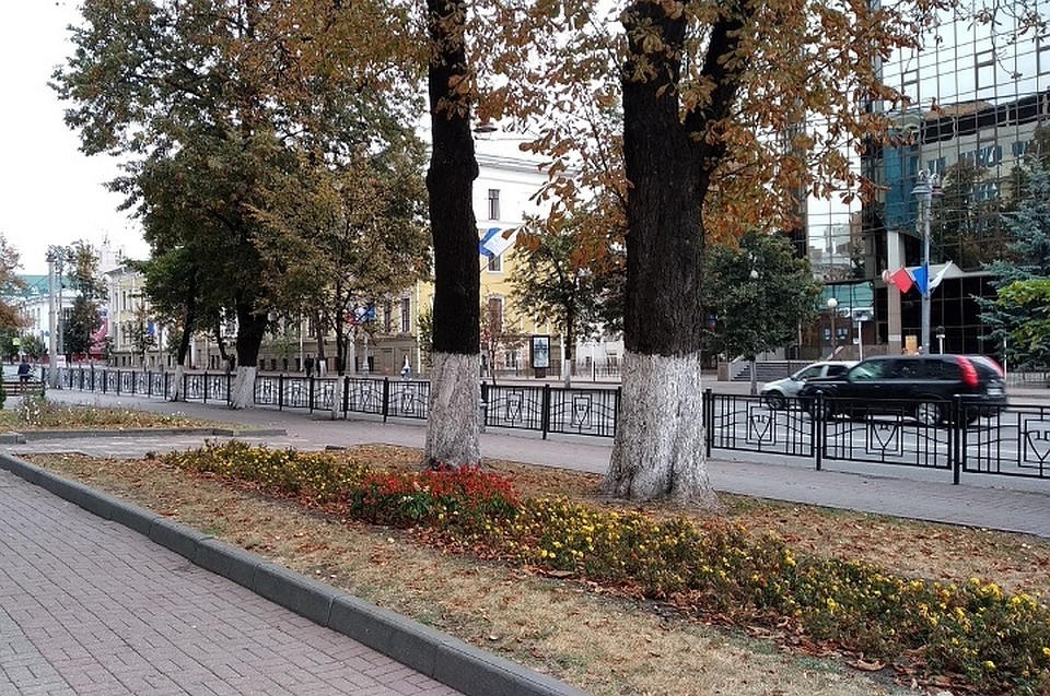 В акции принимают участие студенты и волонтеры