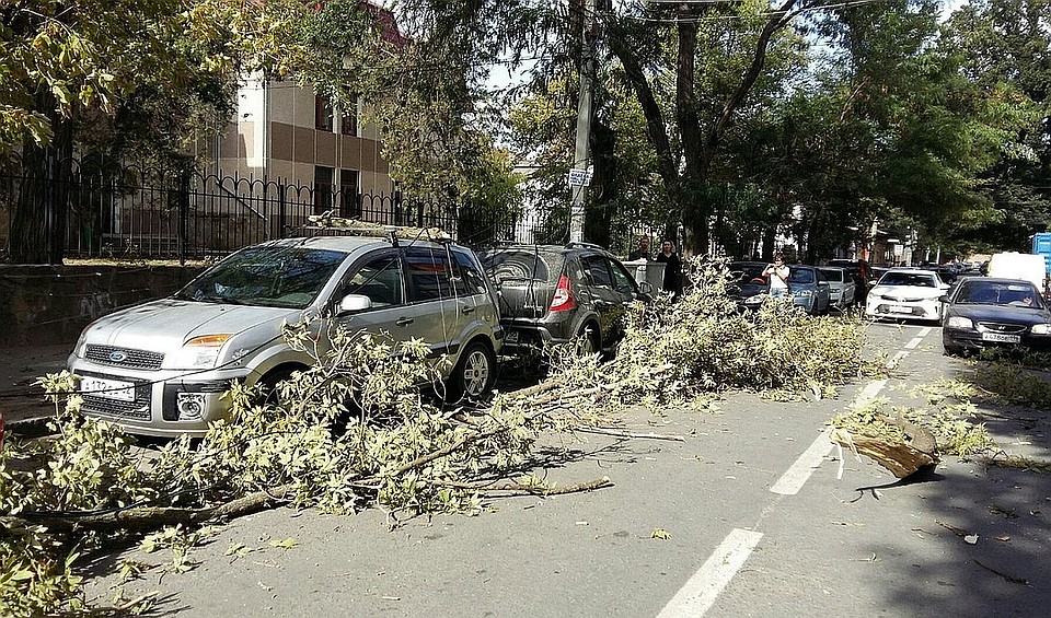 Спасатели советуют не оставлять машины под деревьями.